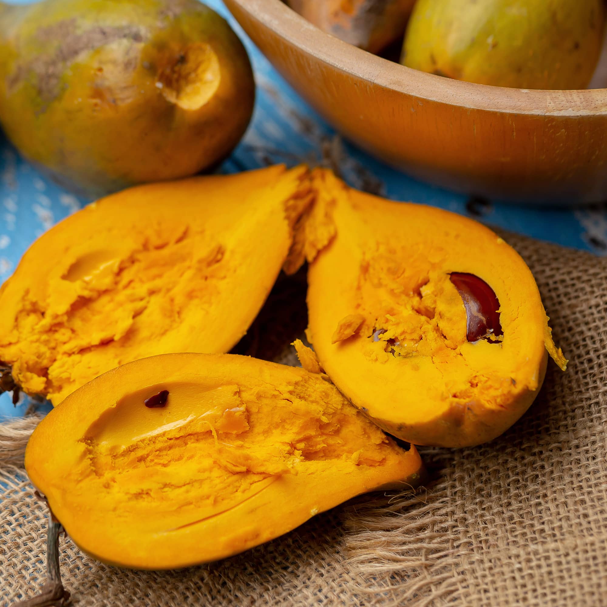 קניסטל | Pouteria campechiana | Canistel