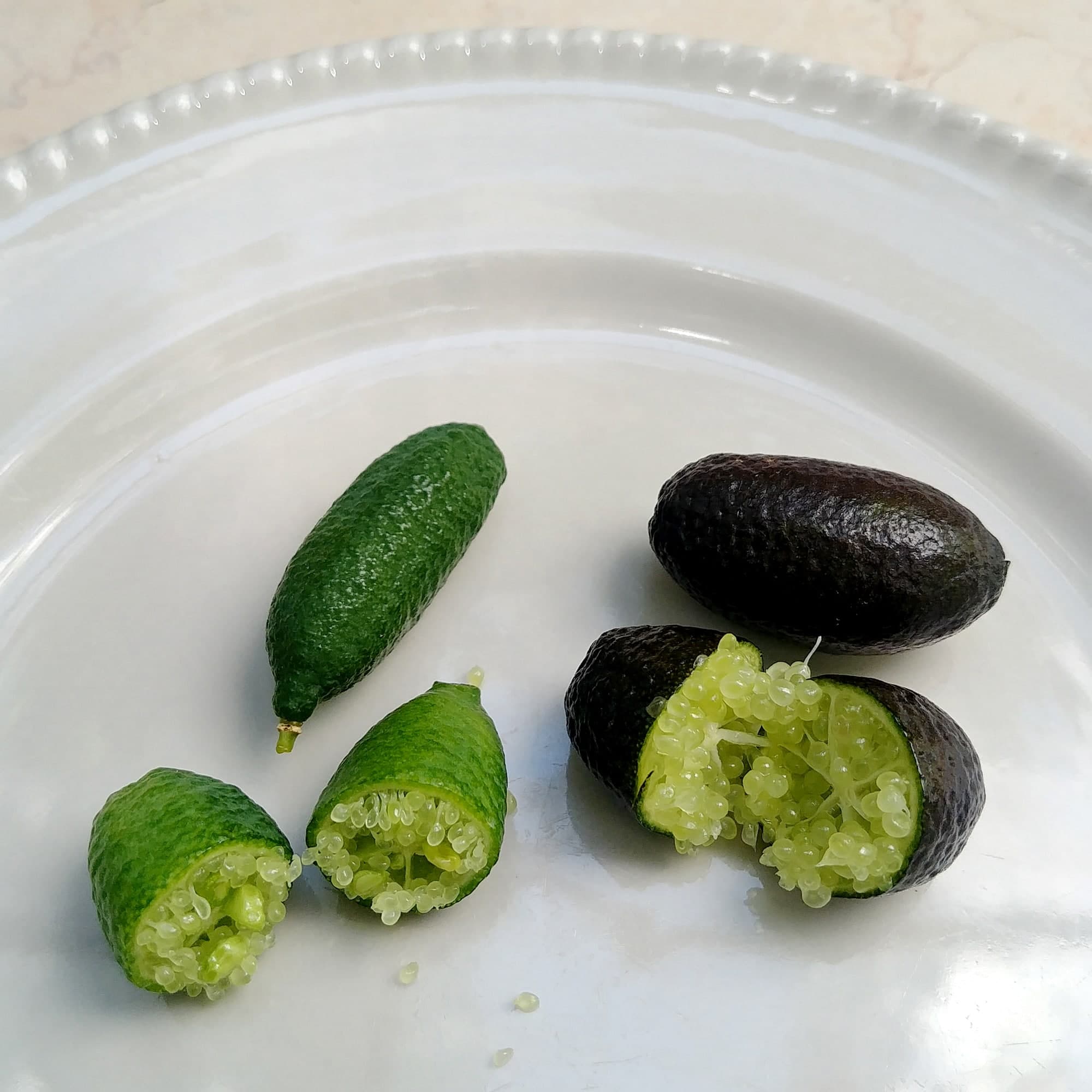 לימון קוויאר ליים | פינגר ליים | Caviar lime | Citrus australasica