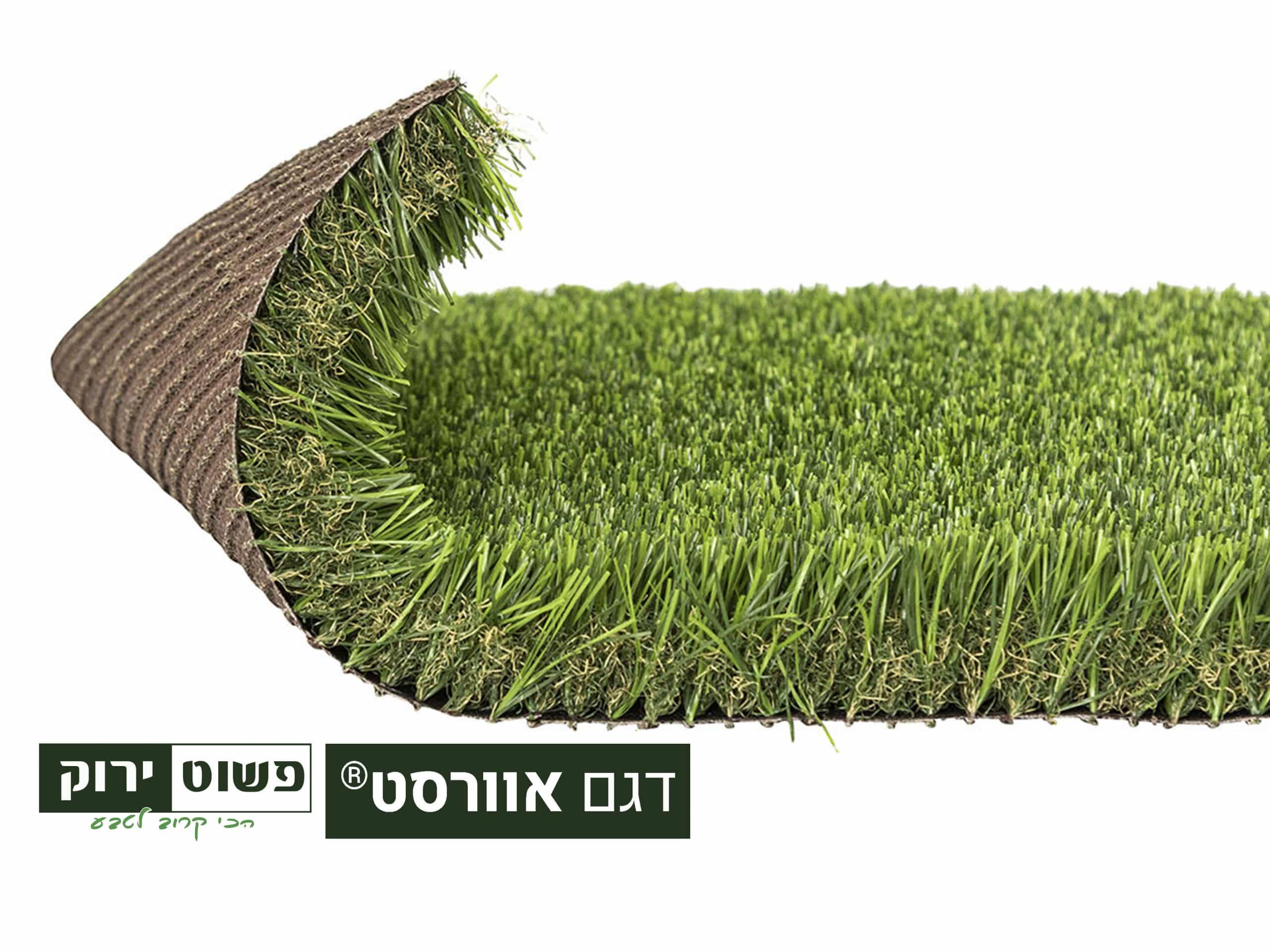 דגם אוורסט | משתלות הדר נוי