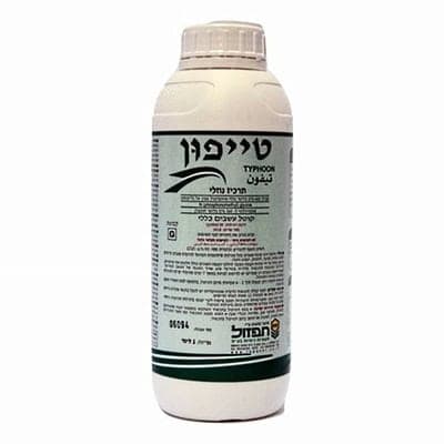 טייפון 1 ליטר | משתלות הדר נוי