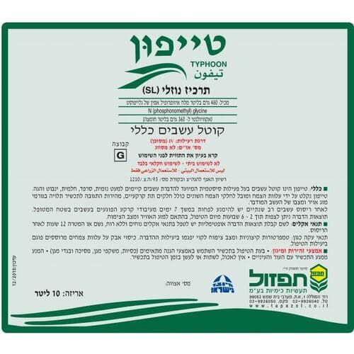 טייפון 5 ליטר | משתלות הדר נוי