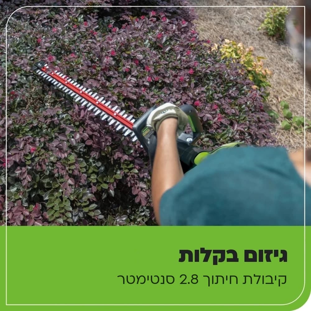 גוזם גדר חיה 80 וולט נטען, Greenworks HT80L213: כרטיס הסבר, גיזום בקלות: גיזום שיח סגול במבט מעל כתף המפעיל, קיבולת חיתוך של 2.8 סנטימטר