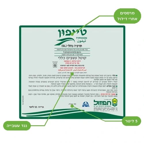 טייפון 5 ליטר | משתלות הדר נוי