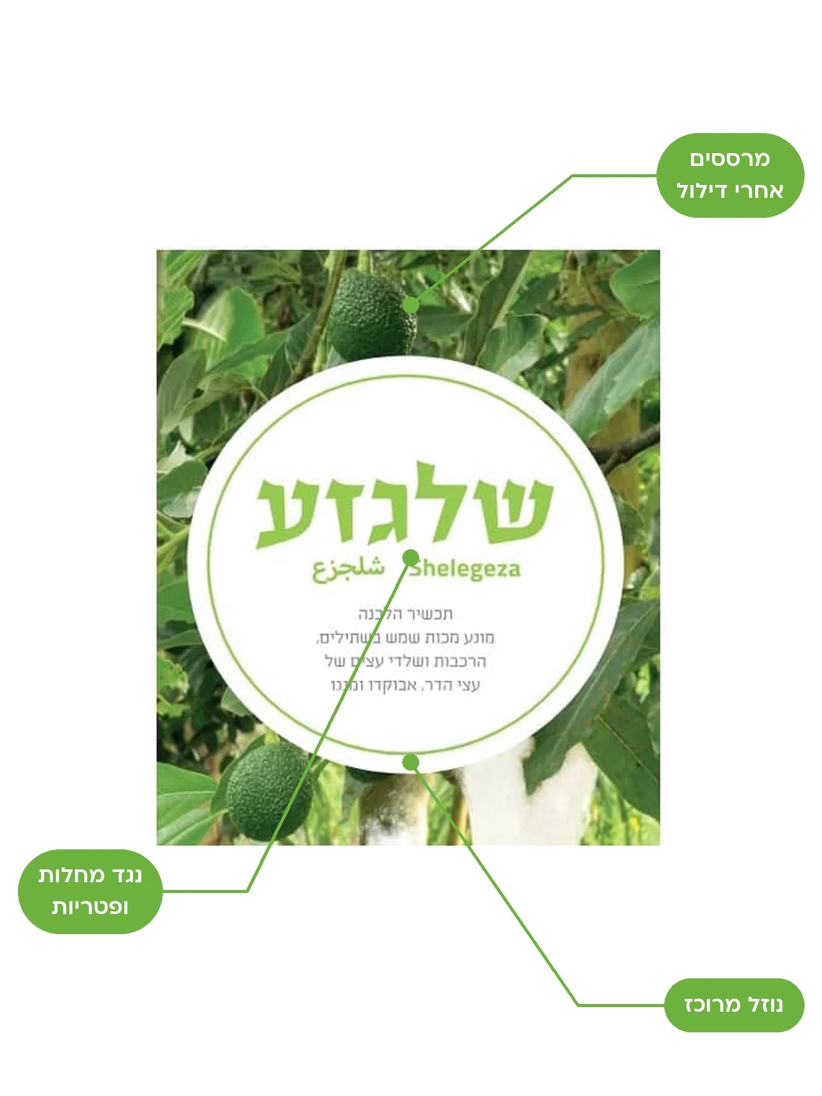שלגזע 5 ליטר, יתרונות המוצר מסומנים | הדר נוי משתלות