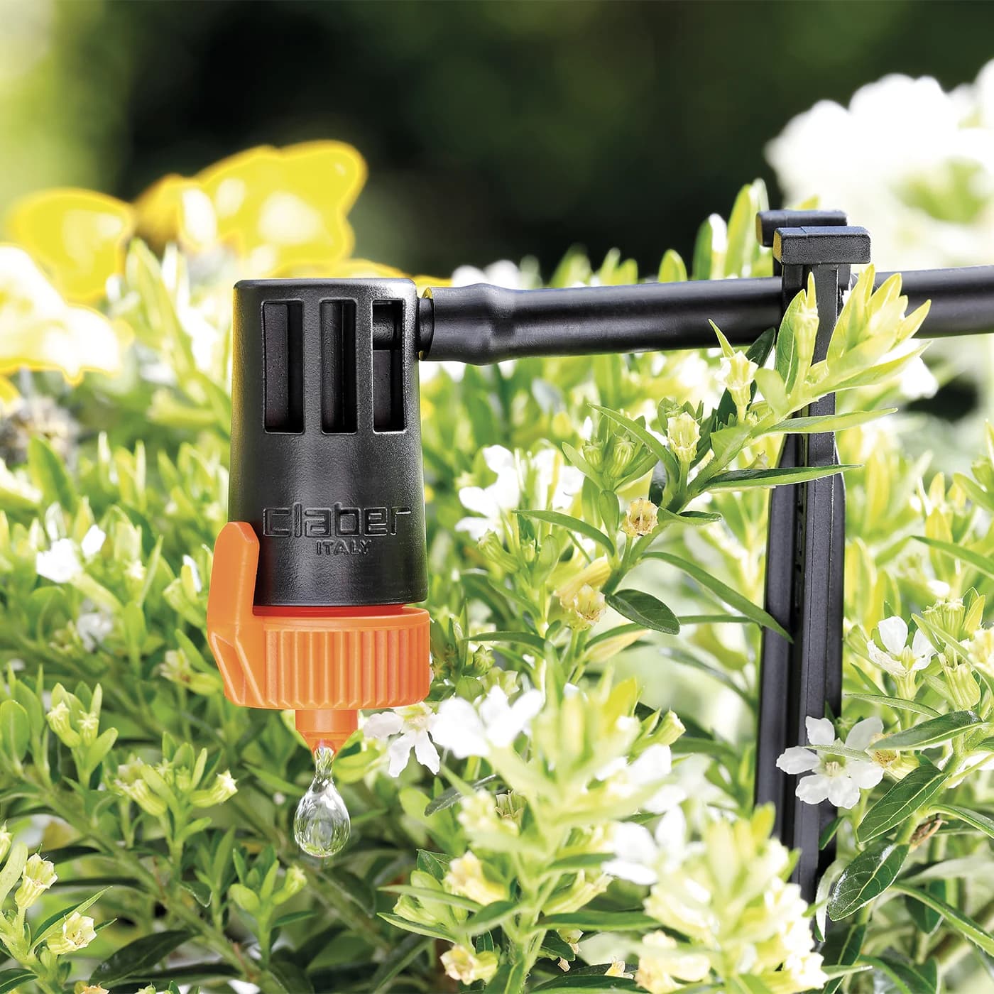 טפטפת Claber 91214 Plus מותקנת על צינורית בערוגה פורחת ומטפטפת אל שורש הצמח - משתלות הדר נוי