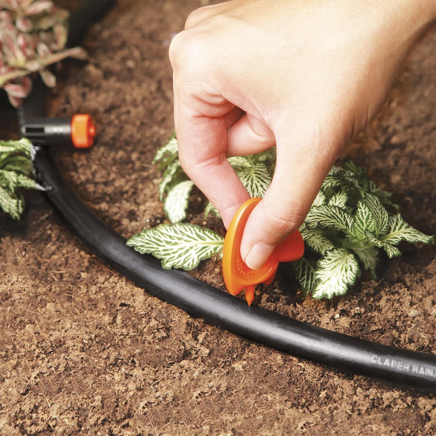 יד מחזיקה את המחורר הכתום של Claber וקודחת חור בצינור טפטוף שחור מעל האדמה - משתלות הדר נוי