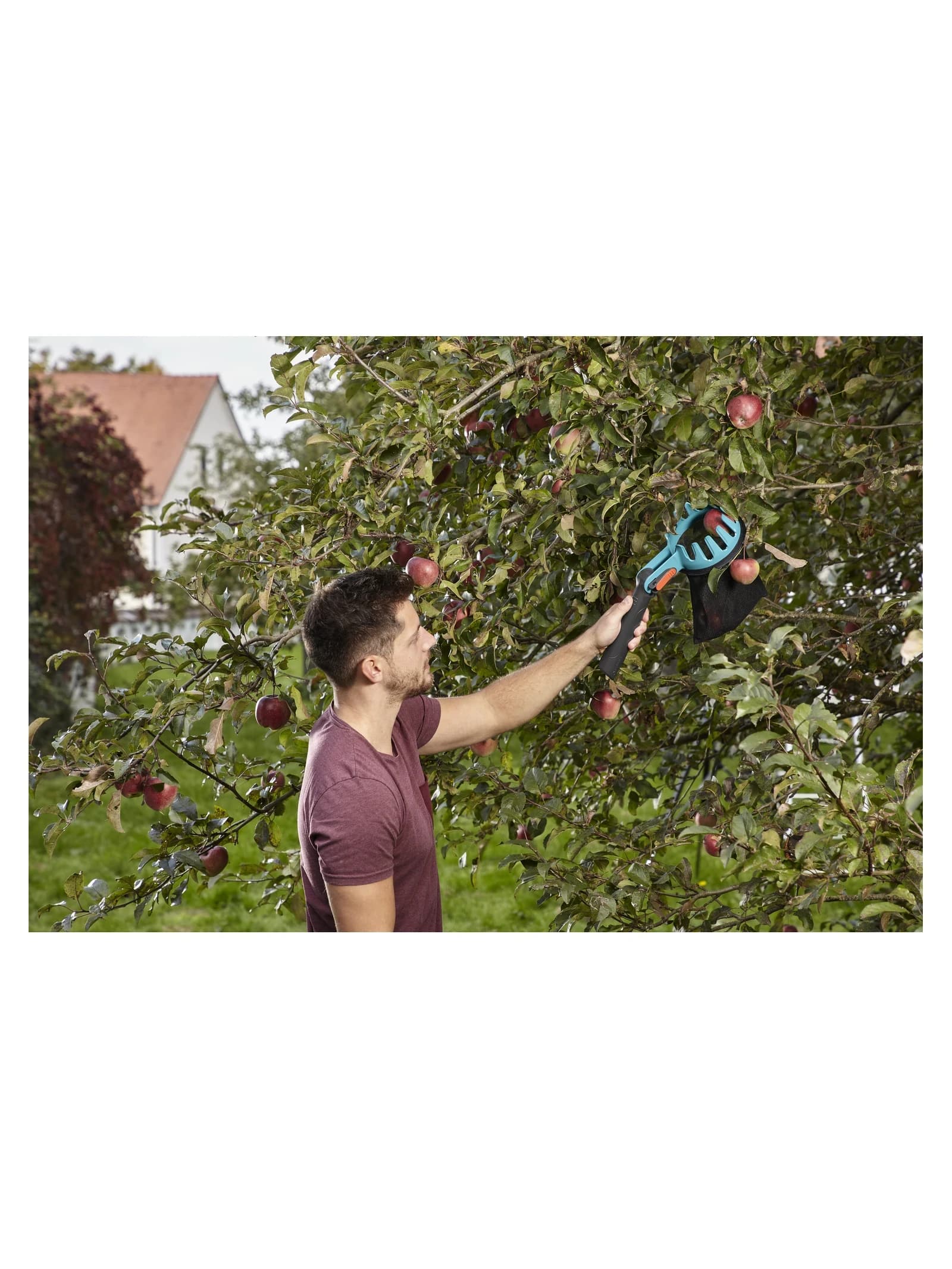 קטיף תפוחים מצמרת העץ עם מקטפת הפירות של GARDENA