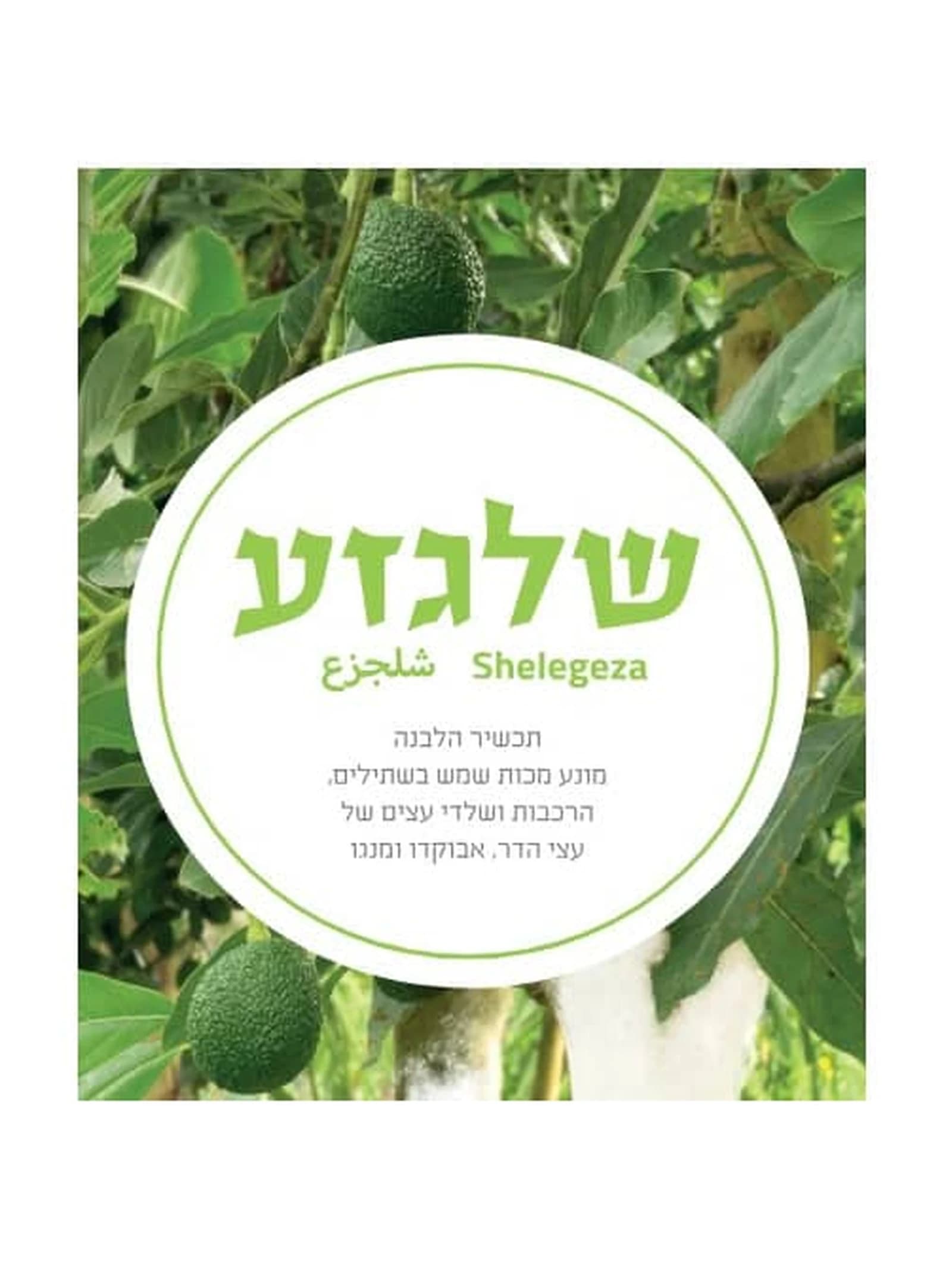 שלגזע 5 ליטר, תמיסת הלבנה לגזעים למכירה במשתלות הדר נוי