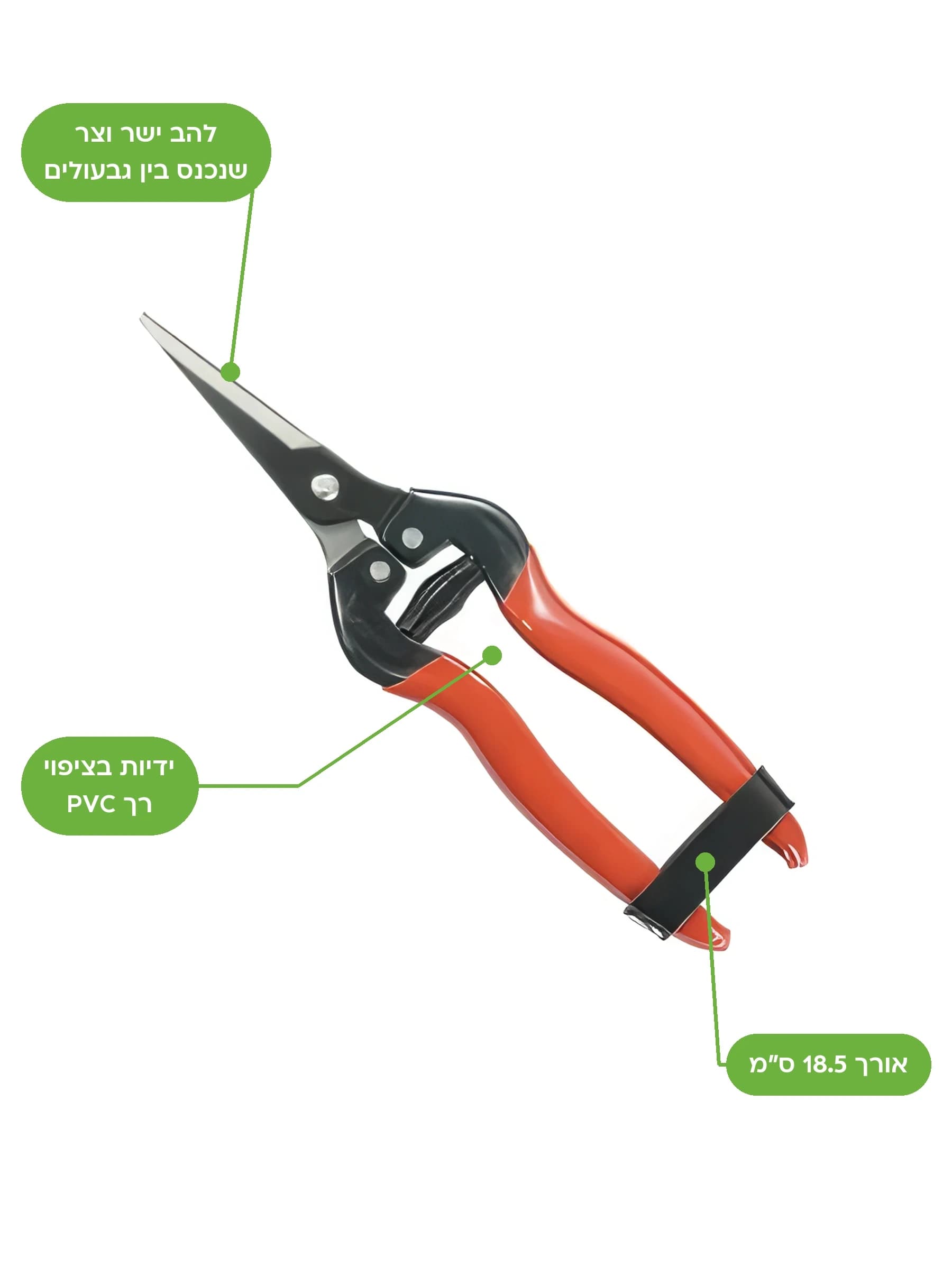 מבצרת ירקות WINLAND 803B עם להב פלדה שחור וידיות אדומות