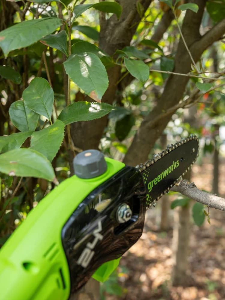 מסור גבהים 20 ס״מ 24 וולט נטען דור 2 גוף בלבד, Greenworks PS24B00-01: תקריב של ראש המסור והשרשרת חותכים ענף בתוך עלווה