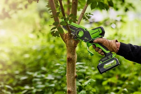 מסור שרשרת מיני 10 ס״מ 24 וולט נטען, Greenworks G24MCS10: גיזום ענף צדדי מגזע של עץ צעיר בחורשה, שבבי עץ באוויר