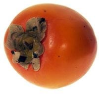 אפרסמון- עצי פרי | הדר נוי משתלות