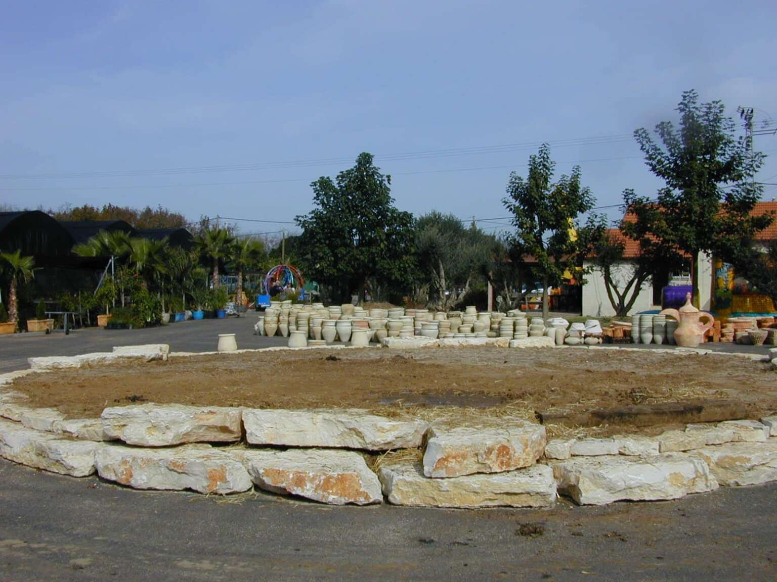 סלעים לגינה - עצי נוי | הדר נוי משתלות