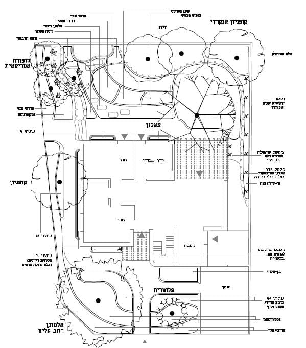 עקרונות התכנון - עצי נוי | הדר נוי משתלות