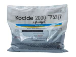 קוציד 2000 | קוטל פטריות וחרקים | 1 ק"ג