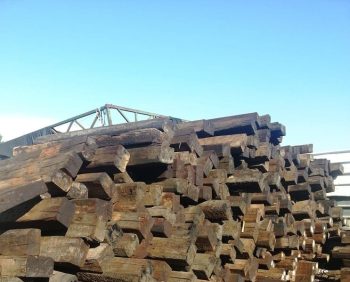 אדני רכבת - עצי נוי | הדר נוי משתלות