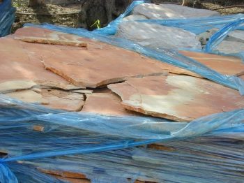 אבני מדרך אדומים דקים - עצי נוי | הדר נוי משתלות