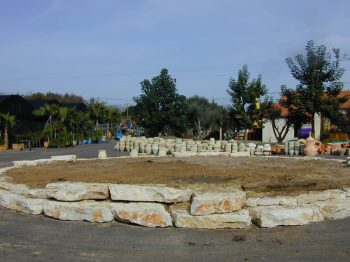 סלעים לגינה - עצי נוי | הדר נוי משתלות