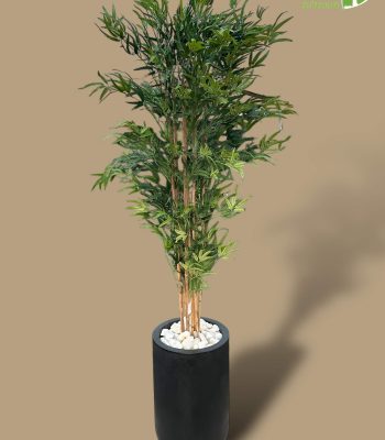 PhotoRoom_002_20240124_185430