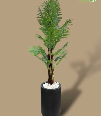 PhotoRoom_003_20240124_185430