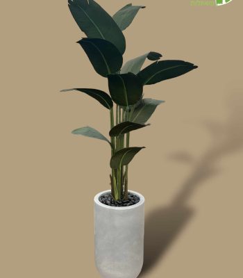 PhotoRoom_006_20240124_185430