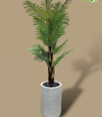 PhotoRoom_008_20240124_185430