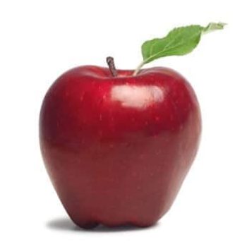 עץ תפוח- עצי פרי | הדר נוי משתלות