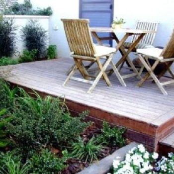 גינות ברחבי הארץ - עצי נוי | הדר נוי משתלות