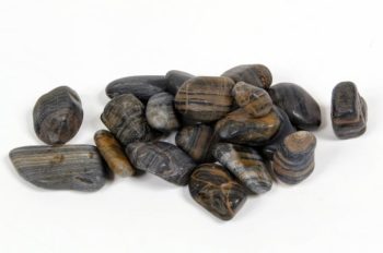 חלוקי נחל עין הנמר - עצי נוי | הדר נוי משתלות