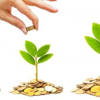 טיפים והנחיות לתכנון גינה - עצי נוי | הדר נוי משתלות