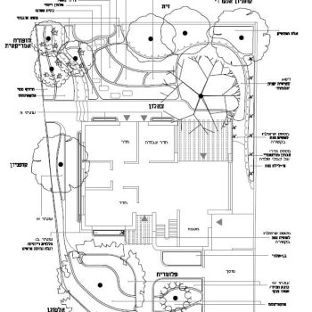 עקרונות התכנון - עצי נוי | הדר נוי משתלות