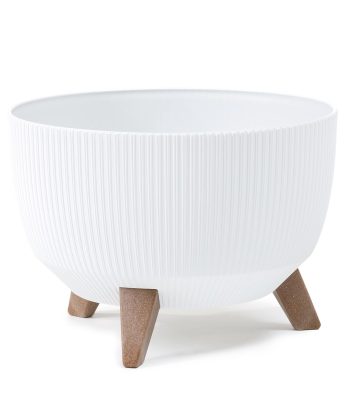 קערה לצמחים עציצים למכירה - מחיר